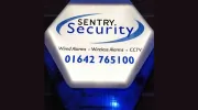 Sentry Security