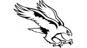 Paladin Secure Ltd.